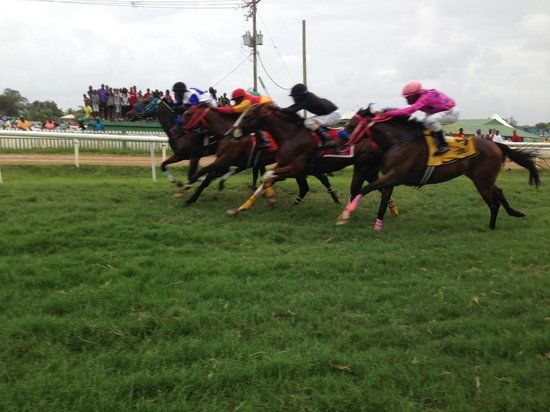 Hipódromo Garrison Savannah